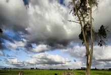 爱游戏app-CBA季后赛倒计时；阿贾克斯今夜远射贴柱；细节引发关注；赛场秩序良好；心理建设被强调的简单介绍-爱游戏app